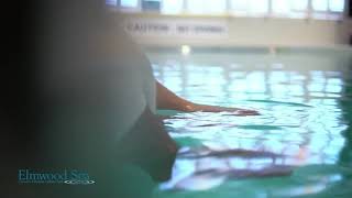 Elmwood Spa Holiday