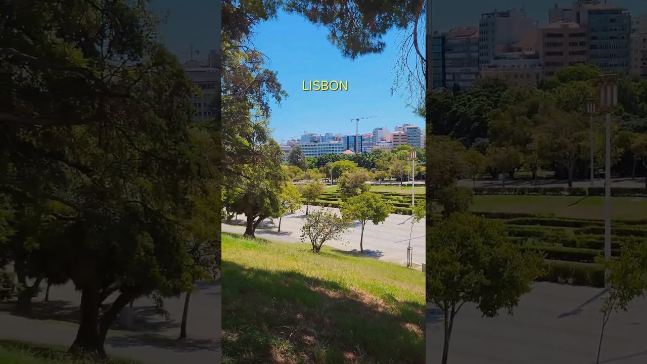 YouTube Short thumbnail