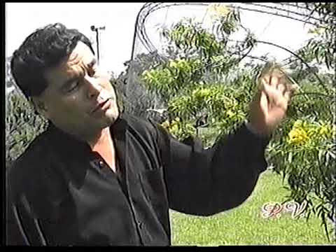 Compasion No Quiero - Raul Arquinigo