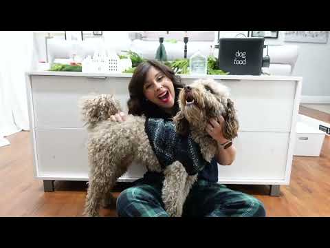 Old Navy Christmas Pajamas and  Neutrals For Your Family   🎄 