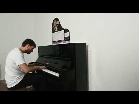 Für Elise For Elise Ludwig van Beethoven Played by Jordan Toms Sideview