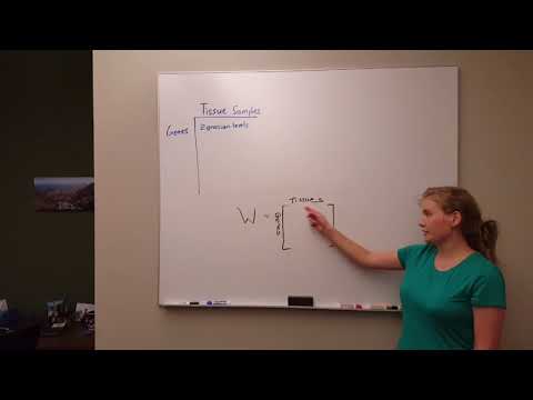 Team Total Eclipse: Mining large scape gene expression data to discover tis- sue specific features