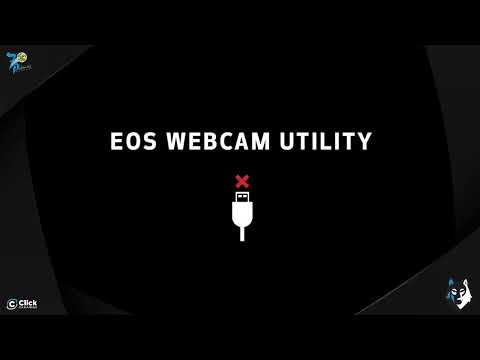 PRECADETE MASCULINO: CB 7 Palmas -  CB Las Palmas