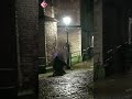 Toerist aangehouden na leegschieten gaspistool | #shorts