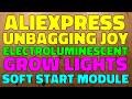 AliExpress unbag joy - Electroluminescent panel, annoying cricket, tools and grow lights