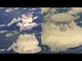 Similar Scenes In SpongeBob 44 First Video Of 2023