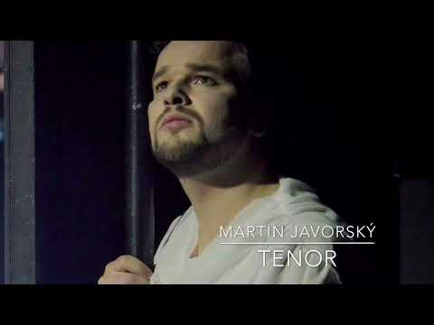 Martin Javorský: Tamino, Zu Hilfe (Mozart | Die Zauberflöte)