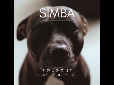 Zouzout - Simba