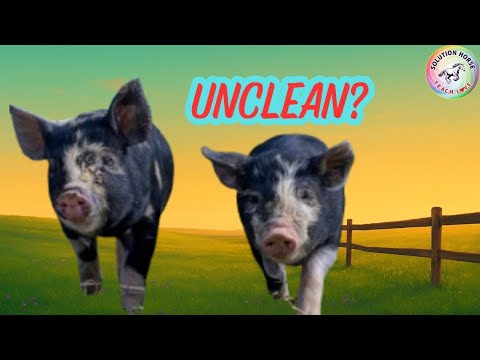 This Verse About Pigs Will Change How You Read the Bible!