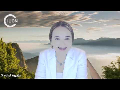 The ICJ Climate Change Advisory Opinion: A Turning Point for Climate Justice from the World Court