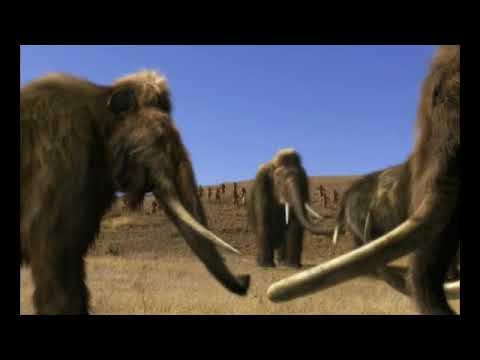 What Killed the Mega beasts (2002) Overkill