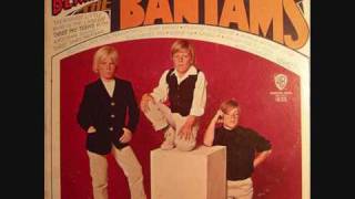 The Bantams - World Without Love