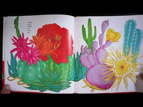 Story Time: The Reason for a Flower