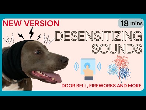 DESENSITIZE YOUR DOG (Sound Triggers: Doorbell, Thunder, Fireworks, Barking, Vacuum)