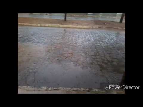 Flor Do Mandacaru video
