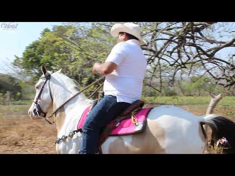 VILLAMIL TORRES - ASÍ SE COLEA EN MI TIERRA