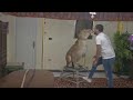Egyptian Lion Tamer Brings Circus Show Home During Pandemic