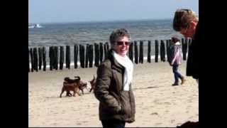 preview picture of video 'Beach-walk Dutch Irish Terrier Club'