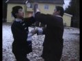 Kungfumania Eagle Vs Mantis