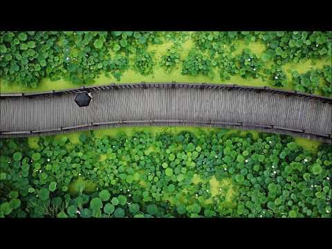 Mihaela Stănculescu-Vosganian (*1961): Symmetries (1995)