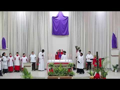 DOMINGO DE RAMOS DA PAIXÃO DO SENHOR - SANTA MISSA - CHAPADA GAÚCHA-MG - 29-03-2026.