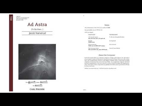 Video Demo
