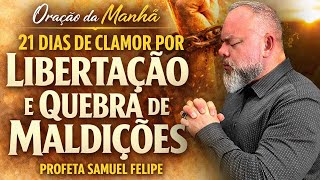 ORAÇÃO DA MANHÃ | Profeta Samuel Felipe |08/02/26