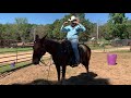 Serious talk about MULES , MULE TRAINING, mule selection , clinics and more