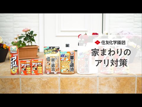 アリを自然に撃退 家庭菜園 重炭酸塩