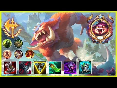 GNAR MONTAGE 2025 - SOLO CARRY