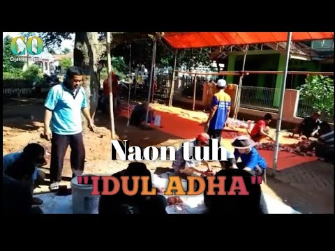 film-pendek-naon-tuh-eps11-edisi-idul-adha