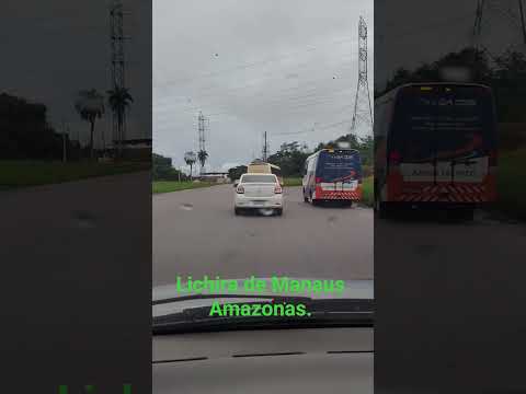 #fypシ #amazonas #manaus #receitas #caminhoparaumavidamelhor .