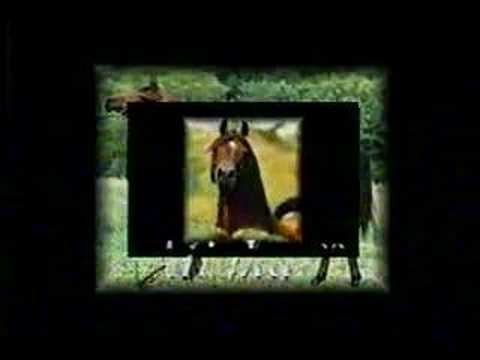 Dual Jamaal - Double Ali Jamaal grandson