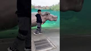 Hippo core🦛🦛🦛🦛