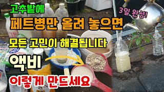 텃밭에 페트병만 올려 놓으면 작물이 잘 자라요 액비영양제 이렇게 만들어요 쌀뜨물액비페트병 관수방법 2가지