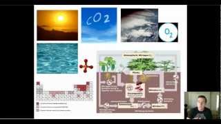 Ecological Productivity (Part 1): Basics & Limiting Factors