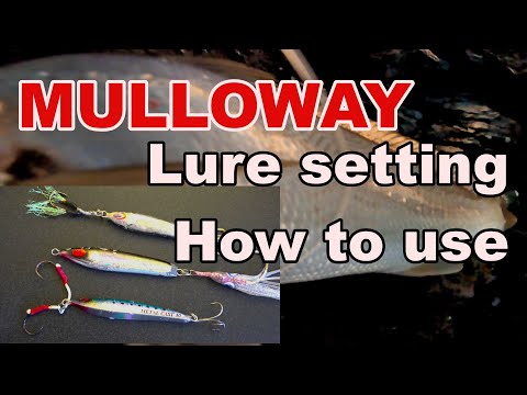 Land base Mulloway Rocky D Fishing Vol.229