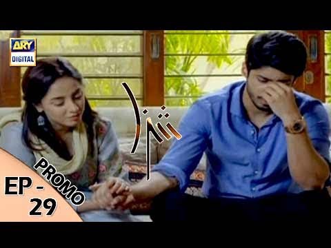 Shiza Episode 29 ( Promo ) - ARY Digital Drama