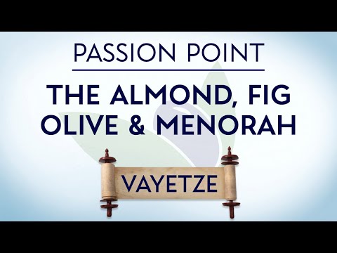 Passion Points ─ The Almond, Fig and Olive Trees and The Menorah