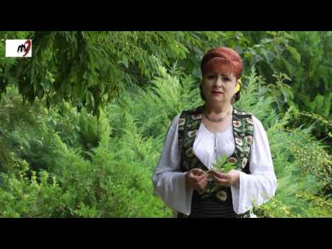 Camelia Conovici Vulpoiu  - Am plecat de acasa