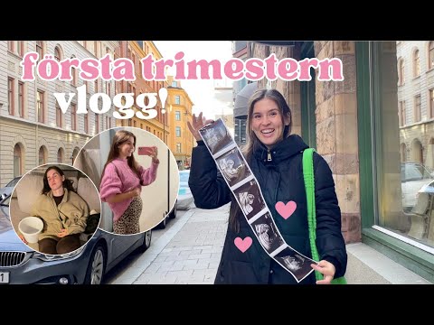 FÖRSTA TRIMESTERN - rädsla för missfall, första ultraljudet, kub