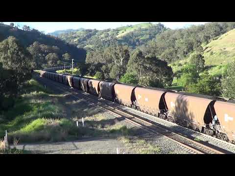 TT125+9312+9206+Bankers 9006+9015+9007=Ardglen