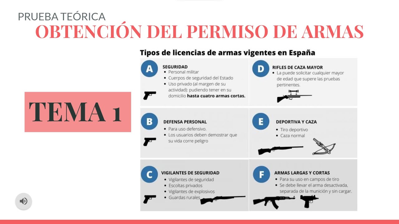 PERMISO DE ARMAS examen teórico 
