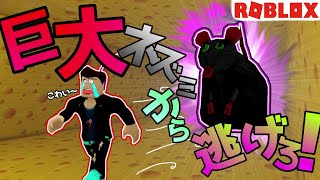 チーズを取りつつ滅茶苦茶デカイネズミから逃げなきゃいけないescape系ホラーゲーム　【Roblox実況プレイ】