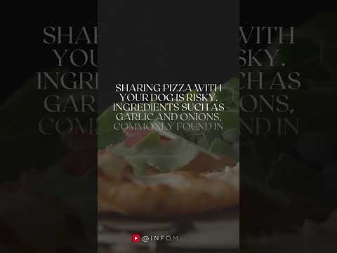 Would you dare to share your pizza with your dog? #pizza #dog #eat