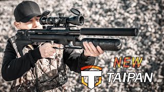 Taipan Veteran II TAC 700mm 5,5mm Laminate Grey