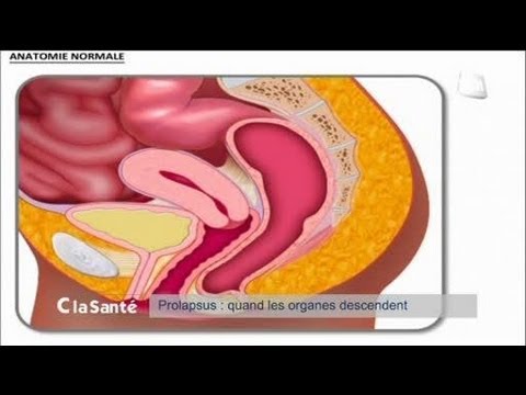 comment fortifier les testicules