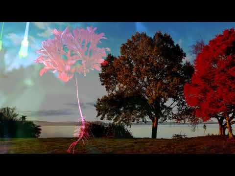 Kurullanta Gee Hadanna කුරුල්ලන්ට ගී හදන්න-Victor Rathnayake Premakeerthi De Alwis