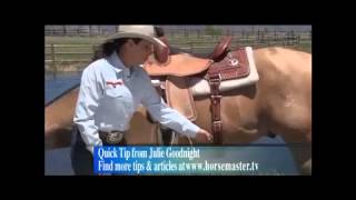 Western Tack Check (Circle Y)