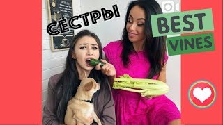 ЛУЧШИЕ ВАЙНЫ 2018 / НОВЫЕ РУССКИЕ И КАЗАХСКИЕ ВАЙНЫ | ПОДБОРКА ВАЙНОВ #122